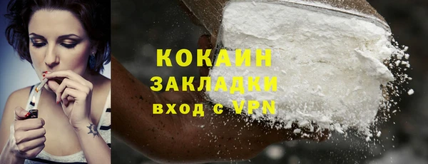 шишки Балабаново