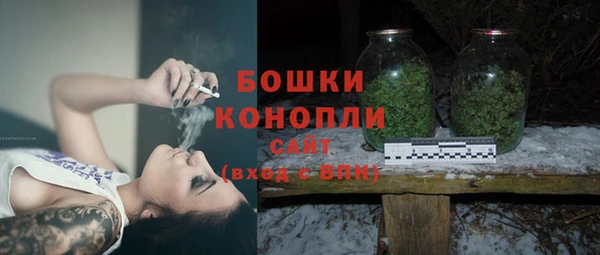 шишки Балабаново