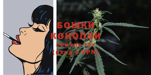 шишки Балабаново