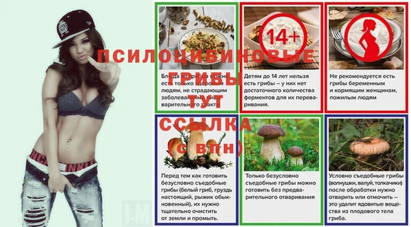 кокс Баксан