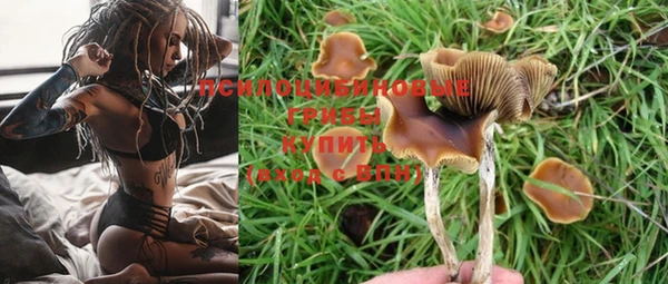 кокс Баксан