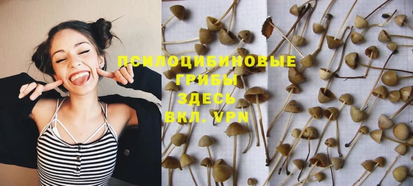 кокс Баксан