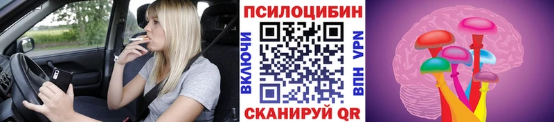 shop наркотические препараты  Чулым  Галлюциногенные грибы Cubensis 